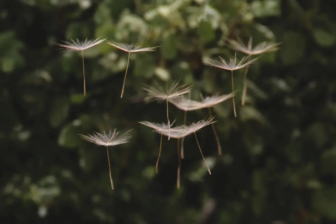 Airborne Allergens: What You Need to Know Today!