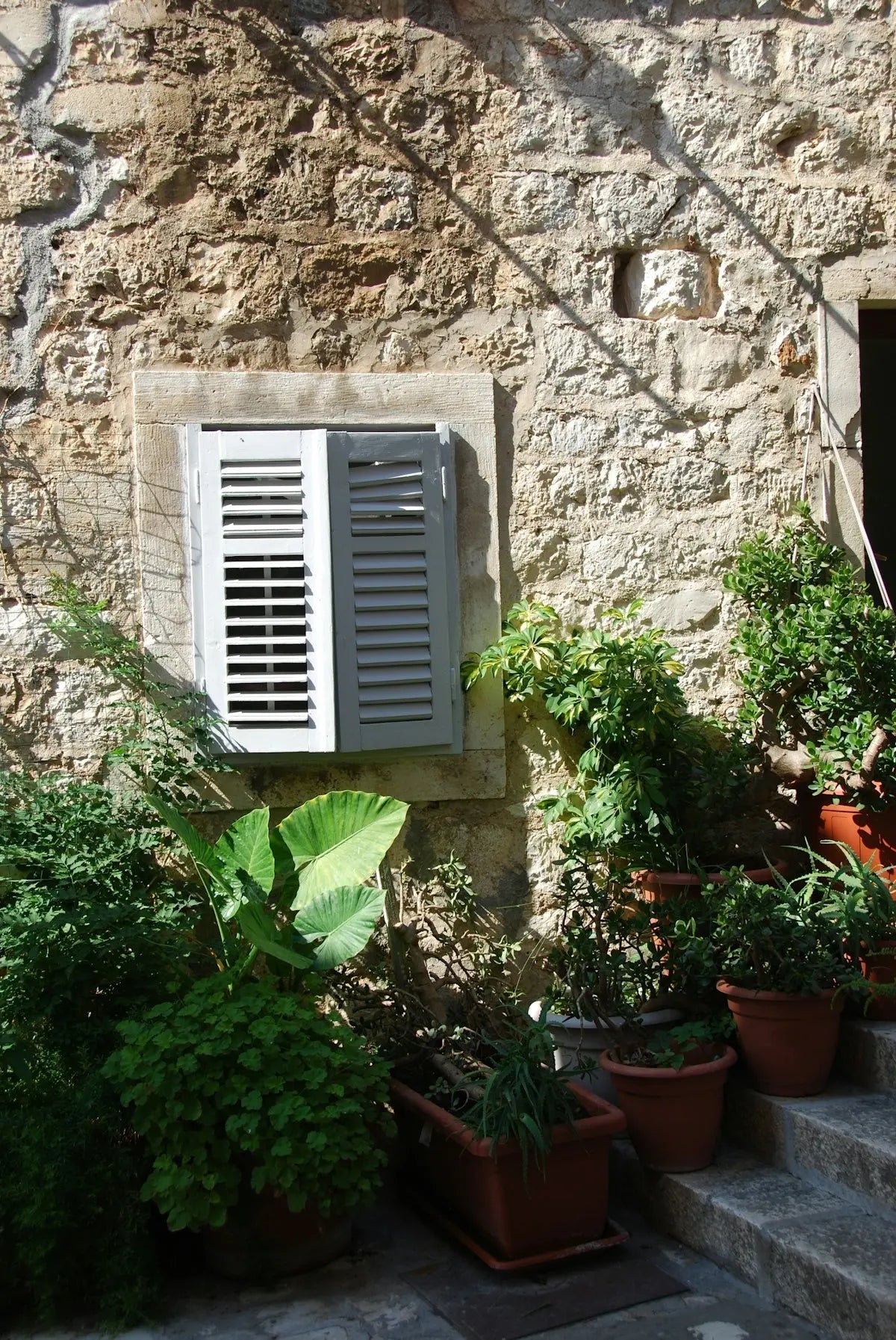 Choosing the Best Air Purifier for Your Allergies