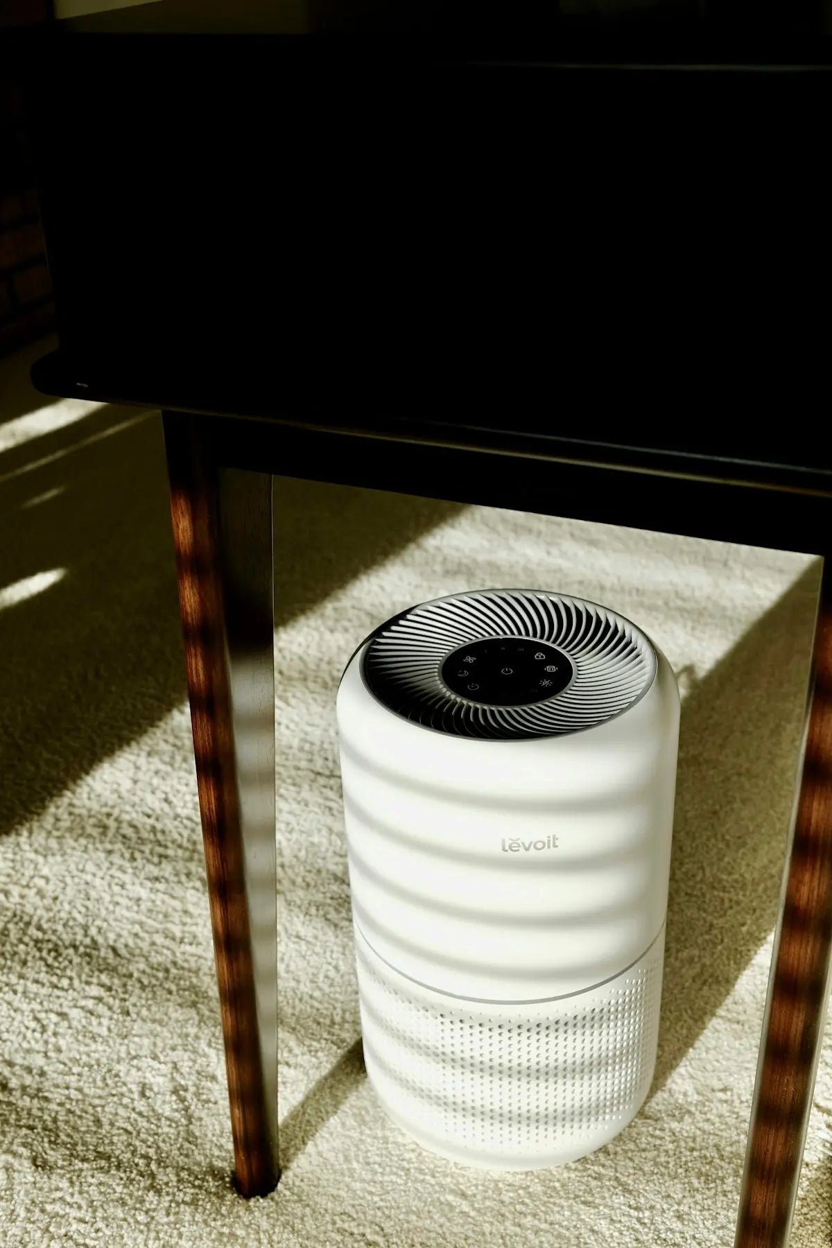 Understanding Dehumidifiers: Key Answers to Commonly Asked Questions