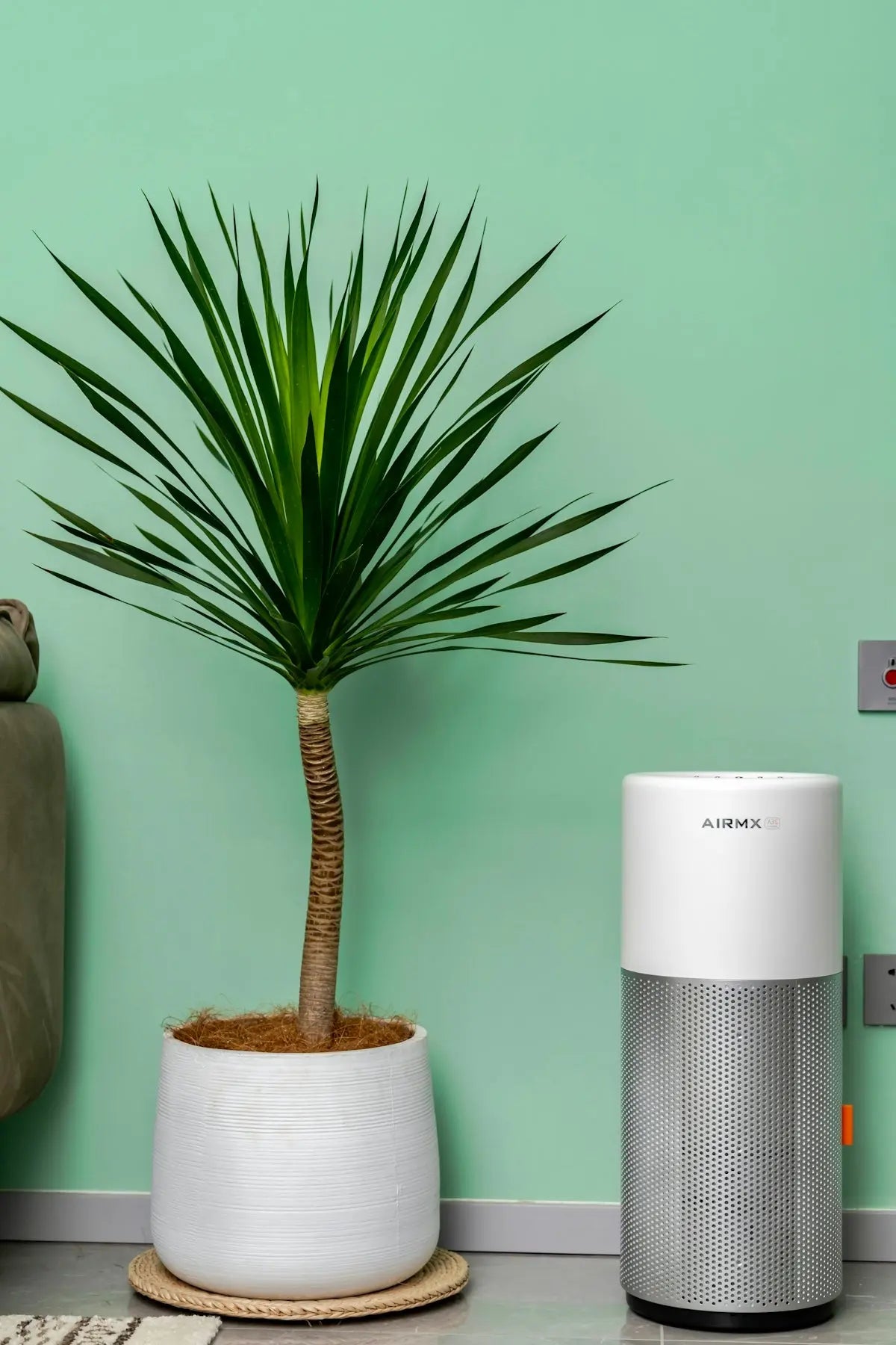 Advantages of Investing in High-Quality Dehumidifiers for Healthier Living