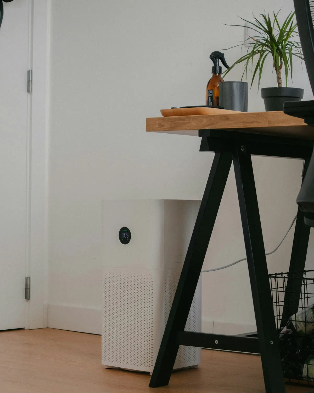 Mini Thermo-Electric Dehumidifiers: Your Compact Solution to Combat Mold and Mildew