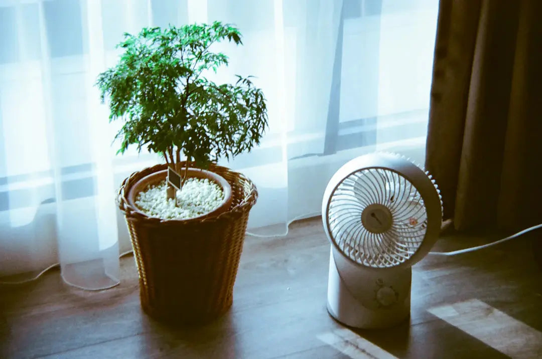 Enhance Air Quality with Unique Humidifiers and Diffusers
