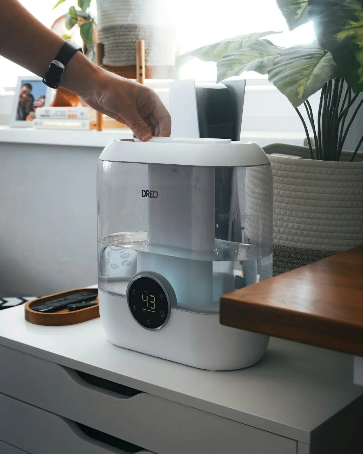 Answers to Essential Questions About Air Purifiers and Health