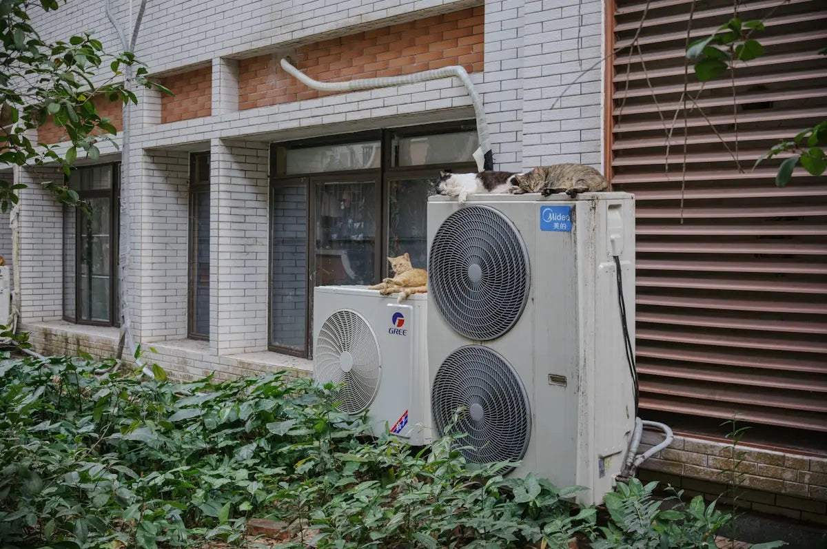 How Dehumidifiers Can Prevent Mold and Mildew in Your Home