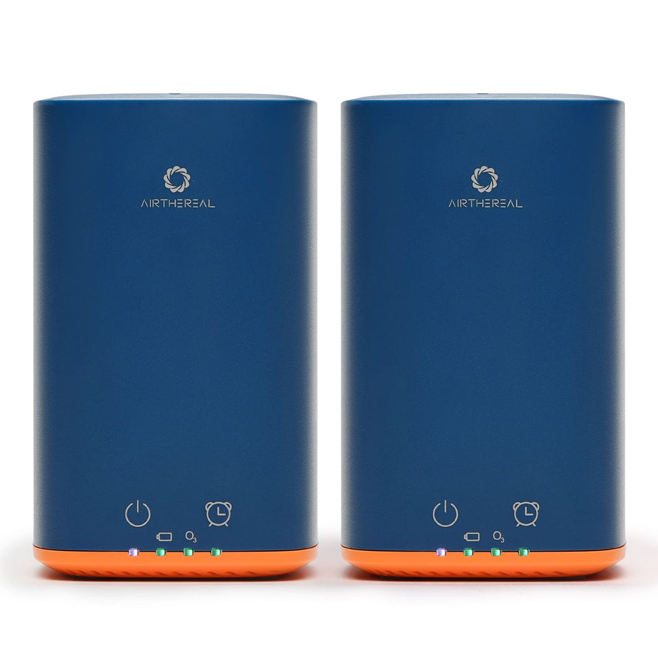 PA300-GO Portable Ozone Generator
