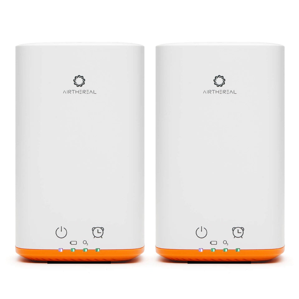 PA300-GO Portable Ozone Generator