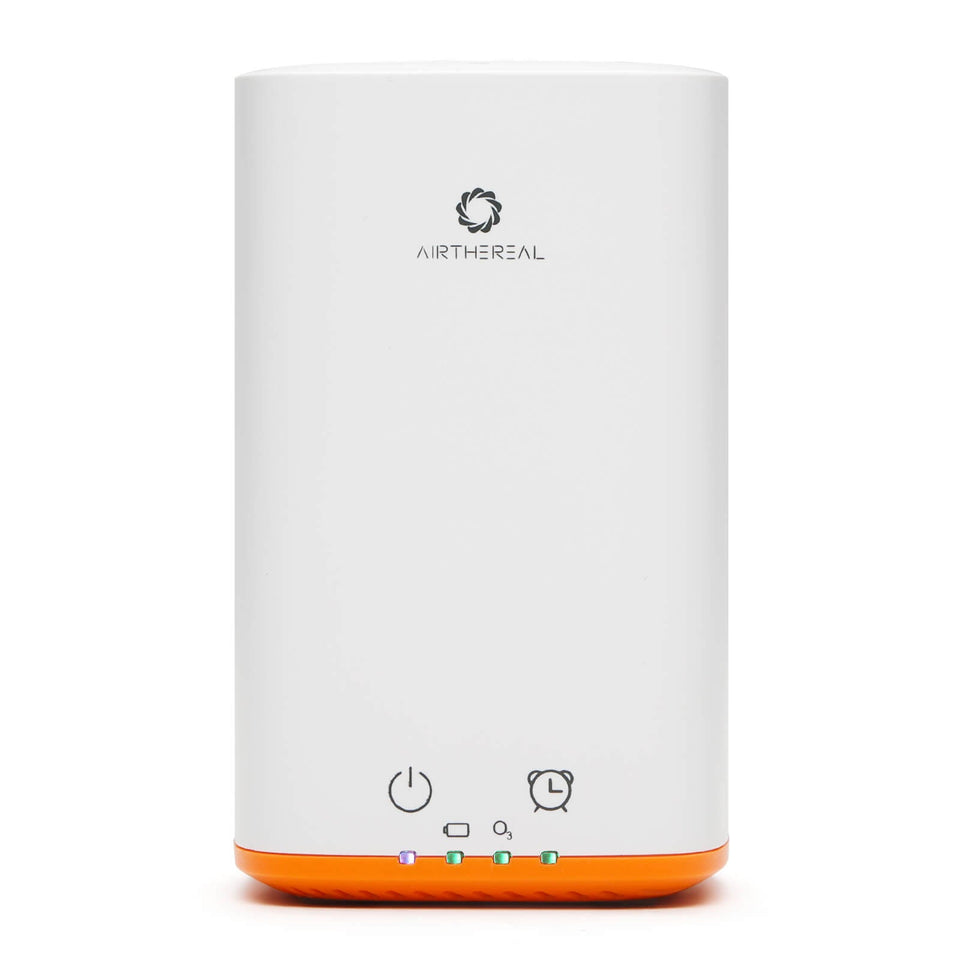 PA300-GO Portable Ozone Generator