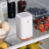 PA300-GO Portable Ozone Generator